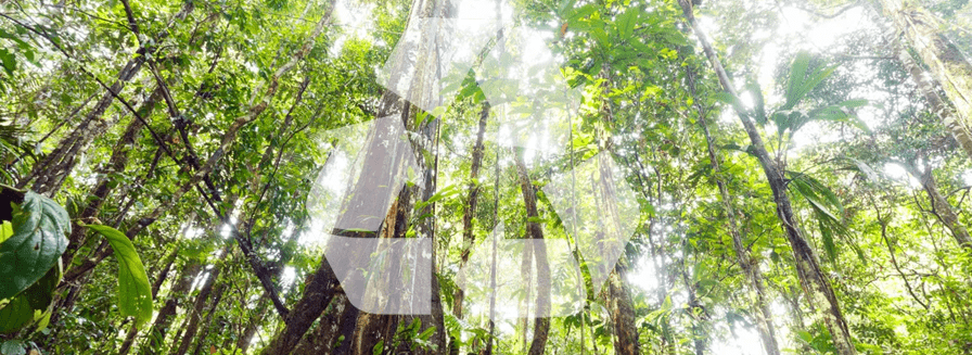Environment header pic